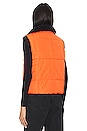 view 4 of 6 Sonja Reversible Short Vest in Tangerine