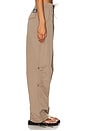 view 3 of 7 Parachute Pant in Coyote Brown