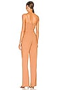 view 3 of 3 Mila Jumpsuit in Noisette