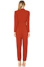 view 3 of 3 Kieran Jumpsuit in Terracotta