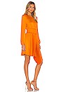 view 2 of 3 Behati Dress in Orange