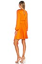 view 3 of 3 Behati Dress in Orange