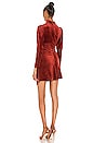 view 3 of 4 Marcel Dress in Sumac