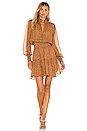 view 1 of 5 Silvie Dress in Butterscotch