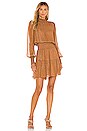 view 2 of 5 Silvie Dress in Butterscotch