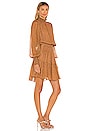view 3 of 5 Silvie Dress in Butterscotch