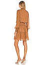 view 4 of 5 Silvie Dress in Butterscotch