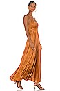 view 3 of 3 Aries Dress in Caramel