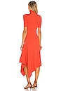 view 3 of 3 VESTIDO ERYNNA in Persimmon
