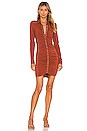 view 1 of 3 Larsen Dress in Brandy Brown