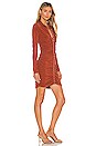 view 2 of 3 Larsen Dress in Brandy Brown