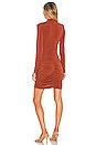 view 3 of 3 Larsen Dress in Brandy Brown