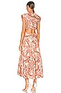 view 3 of 3 Alexandria Dress in Nude Peach Multi