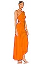 view 2 of 3 Delfina Dress in Citrus