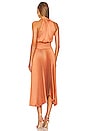view 3 of 3 Renzo II Dress in Burnt Terracotta