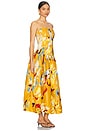 view 2 of 3 June Dress in Desert Multi