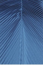 view 5 of 4 Genevieve Gown in Ash	Blue