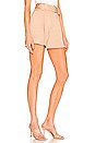 view 2 of 4 Grayson Short in Tawny
