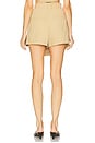 view 4 of 6 Brody Short in Desert Beige