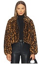 view 1 of 5 Esme Jacket in Brown Multi
