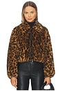 view 2 of 5 Esme Jacket in Brown Multi