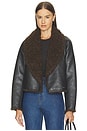 view 2 of 5 Stella Jacket in Deepest Brown & Pilot Brown