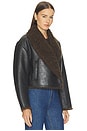 view 4 of 5 Stella Jacket in Deepest Brown & Pilot Brown