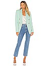 view 5 of 5 Sedgwick Blazer in Mente