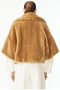 view 4 of 5 Kat Faux Fur Jacket in Carmello