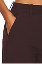 view 6 of 6 PANTALÓN HIRSH in Chocolate Plum