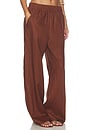 view 3 of 7 Tyler Pant in Brunette