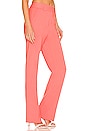 view 2 of 4 Kennedy Pant in Maillot