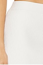 view 6 of 6 Hayden Skirt in Pearl
