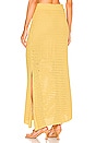 view 3 of 4 Caleb Skirt in Sunray
