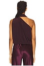 view 4 of 5 Celeste Top in Deep Plum