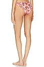view 3 of 4 Amber Bikini Bottom in Rosa Multi