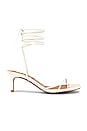 view 1 of 5 Ellery Sandal in Ivory Leather