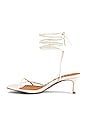 view 5 of 5 SANDALIA ELLERY in Ivory Leather