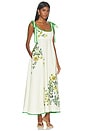 view 2 of 4 Phyllis Ballet Sundress in Cream