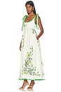 view 3 of 4 Phyllis Ballet Sundress in Cream