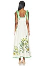 view 4 of 4 Phyllis Ballet Sundress in Cream