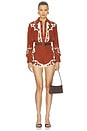 view 6 of 6 Duke Embroidered Short in Rust