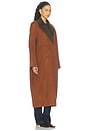 view 4 of 5 Sable Applique Coat in Carmel