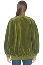 view 5 of 5 Casey Jacket in Sage