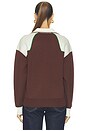 view 4 of 4 Lasso Knit Polo in Chocolate