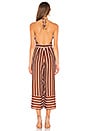 view 3 of 3 Montague Jumpsuit in Rust Stripe