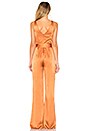 view 3 of 3 x REVOLVE Lamar Jumpsuit in Rust & Ivory Polka Dot