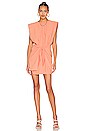 view 1 of 3 Copeland Dress in Nectarine