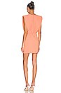 view 3 of 3 Copeland Dress in Nectarine