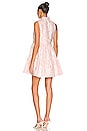 view 3 of 3 Connolly Dress in Shocking Pink